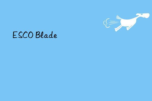 esco blade