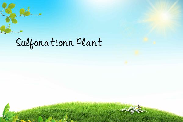 sulfonationn plant