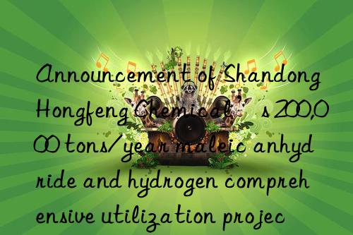 announcement of shandong hongfeng chemical’s 200,000 tons/year maleic anhydride and hydrogen comprehensive utilization project