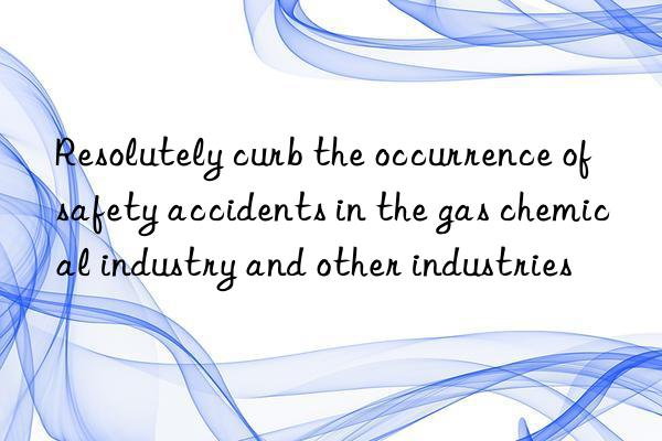 resolutely curb the occurrence of safety accidents in the gas chemical industry and other industries