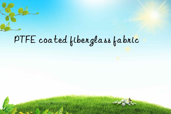 ptfe coated fiberglass fabric