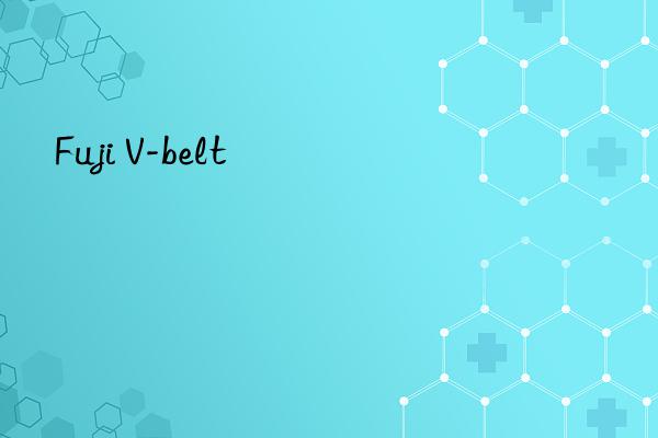 fuji v-belt