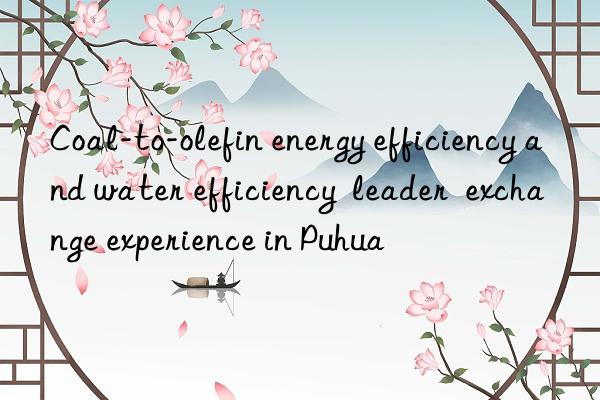 coal-to-olefin energy efficiency and water efficiency leader exchange experience in puhua