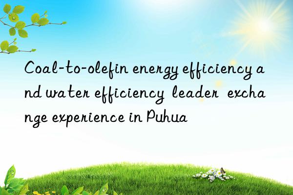 coal-to-olefin energy efficiency and water efficiency  leader  exchange experience in puhua