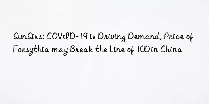 sunsirs: covid-19 is driving demand, price of forsythia may break the line of 100 in china