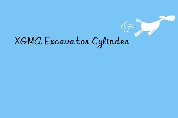 xgma excavator cylinder