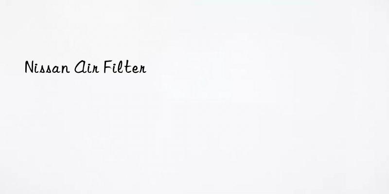 nissan air filter