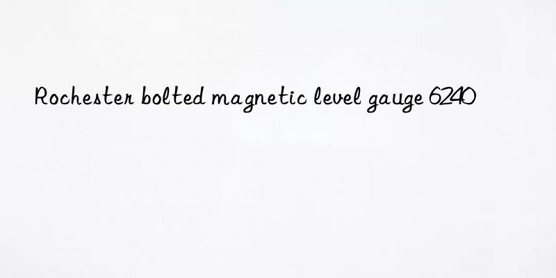 rochester bolted magnetic level gauge 6240