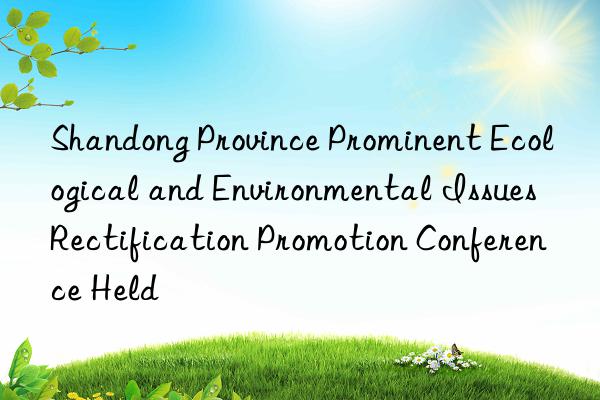 shandong province prominent ecological and environmental issues rectification promotion conference held