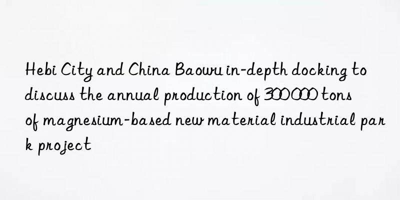 hebi city and china baowu in-depth docking to discuss the annual production of 300 000 tons of magnesium-based new material industrial park project