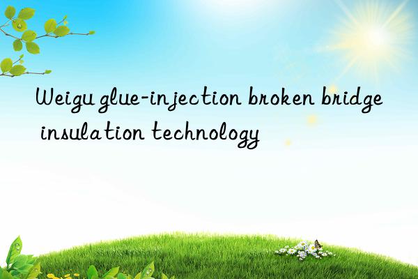 weigu glue-injection broken bridge insulation technology