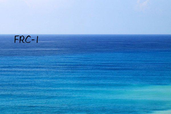 frc-1