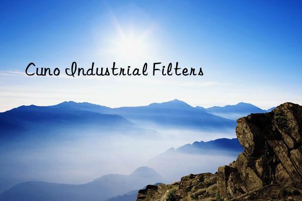 cuno industrial filters