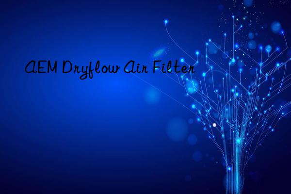 aem dryflow air filter
