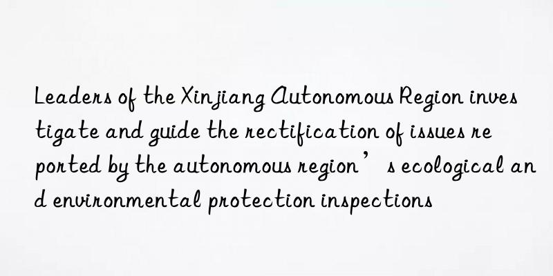 leaders of the xinjiang autonomous region investigate and guide the rectification of issues reported by the autonomous region’s ecological and environmental protection inspections