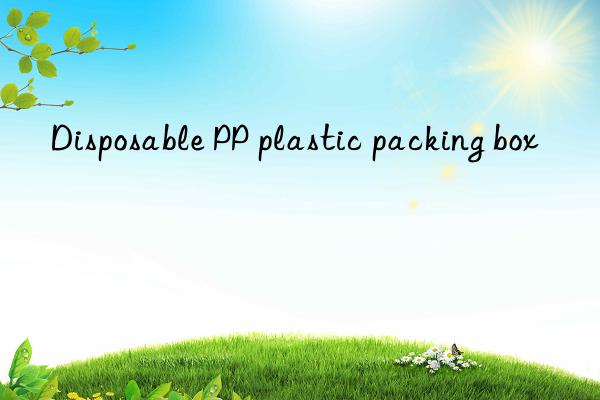 disposable pp plastic packing box