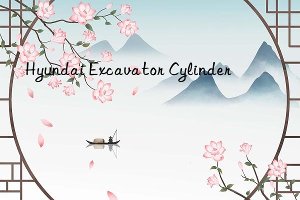 hyundai excavator cylinder