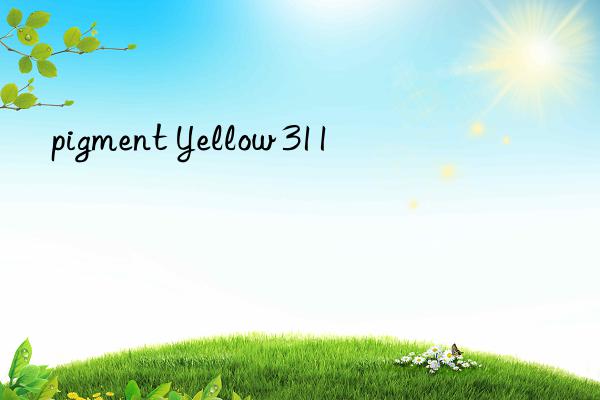 pigment yellow 311