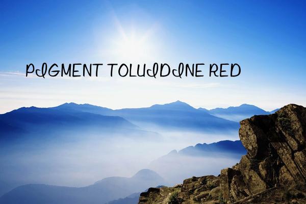 pigment toluidine red