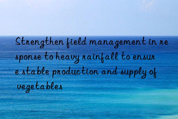 strengthen field management in response to heavy rainfall to ensure stable production and supply of vegetables