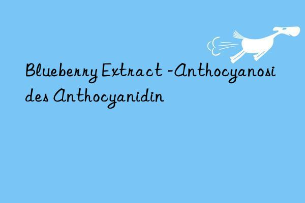 blueberry extract -anthocyanosides anthocyanidin