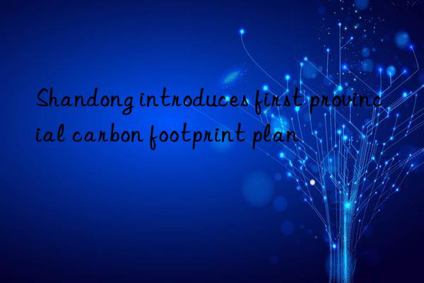 shandong introduces first provincial carbon footprint plan