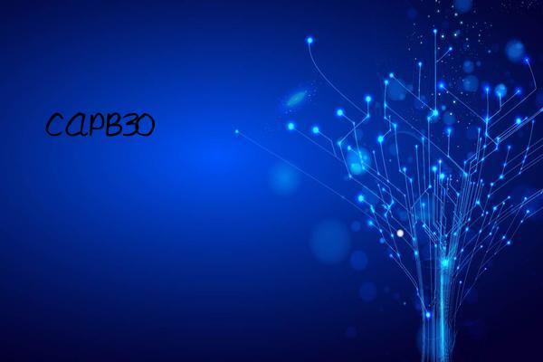 capb30