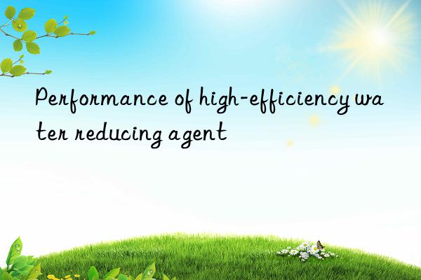 performance of high-efficiency water reducing agent