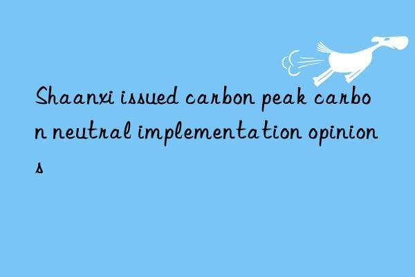 shaanxi issued carbon peak carbon neutral implementation opinions