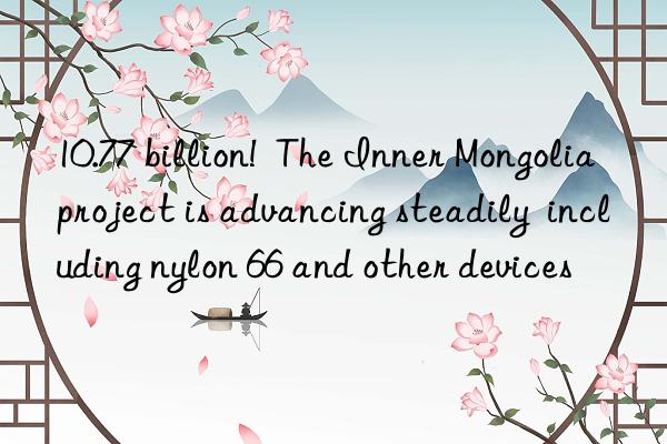 10.77 billion!  the inner mongolia project is advancing steadily  including nylon 66 and other devices