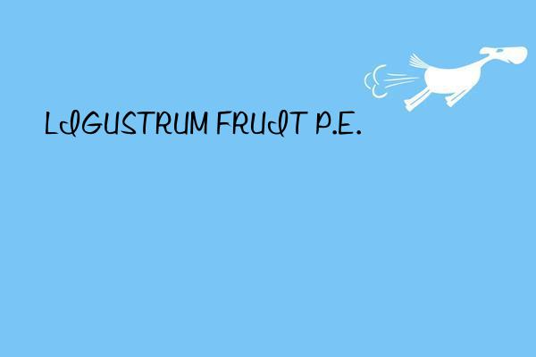 ligustrum fruit p.e.