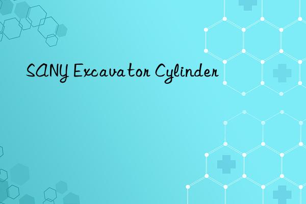 sany excavator cylinder