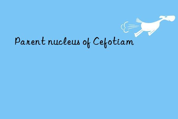 parent nucleus of cefotiam