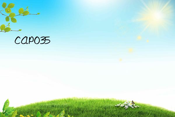 capo35