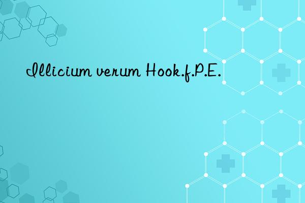 illicium verum hook.f.p.e.