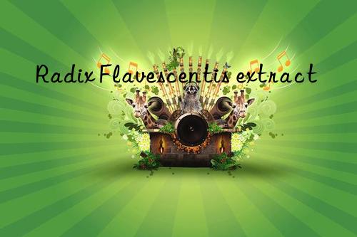 radix flavescentis extract