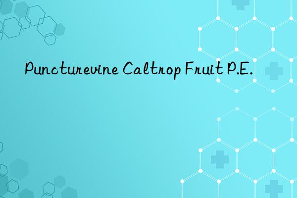 puncturevine caltrop fruit p.e.