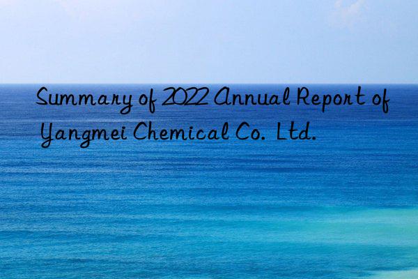 summary of 2022 annual report of yangmei chemical co.  ltd.