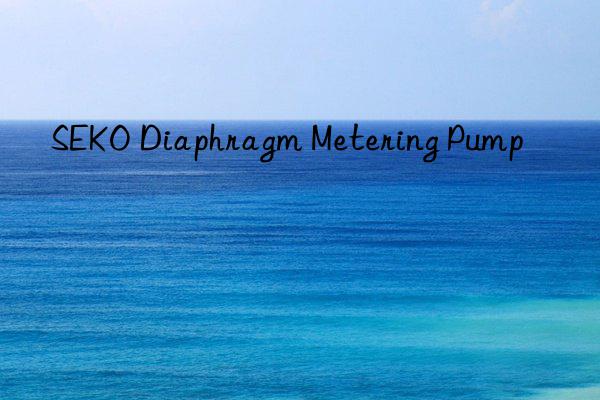 seko diaphragm metering pump