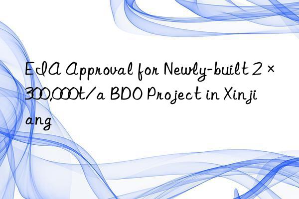 eia approval for newly-built 2×300,000t/a bdo project in xinjiang