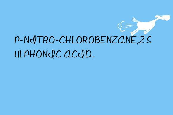 p-nitro-chlorobenzane,2 sulphonic acid.