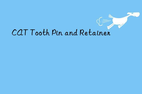 cat tooth pin and retainer