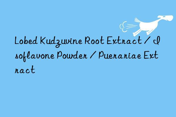 lobed kudzuvine root extract / isoflavone powder / puerariae extract