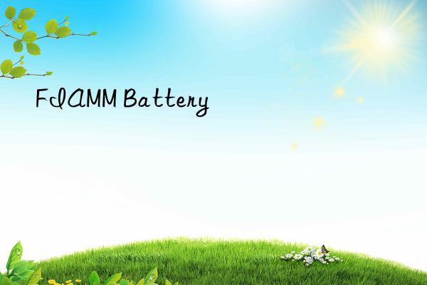 fiamm battery