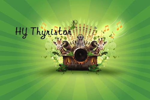hy thyristor