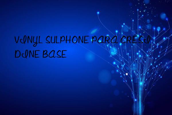 vinyl sulphone para cresidine base