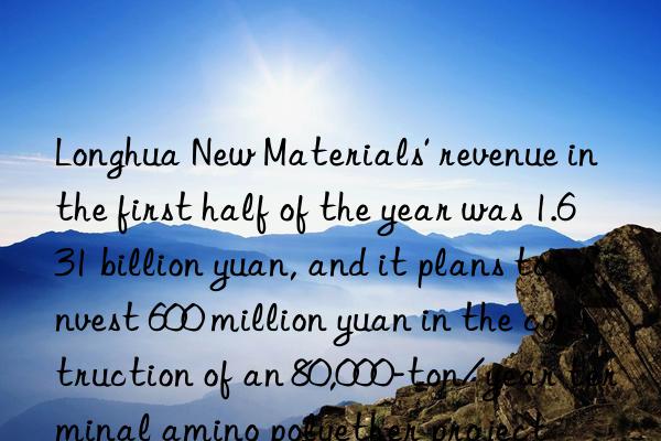 longhua new materials