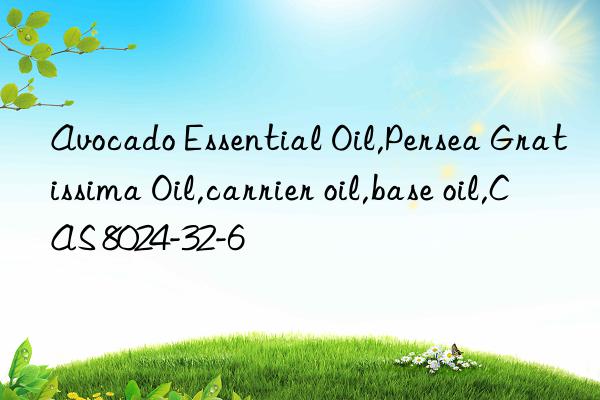 avocado essential oil,persea gratissima oil,carrier oil,base oil,cas 8024-32-6