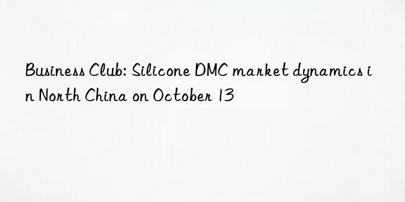 business club: silicone dmc market dynamics in north china on october 13
