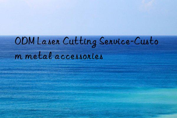 odm laser cutting service-custom metal accessories